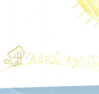 a dog's age