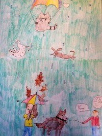 raining cats and dogs