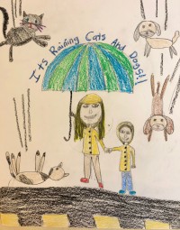 raining cats and dogs